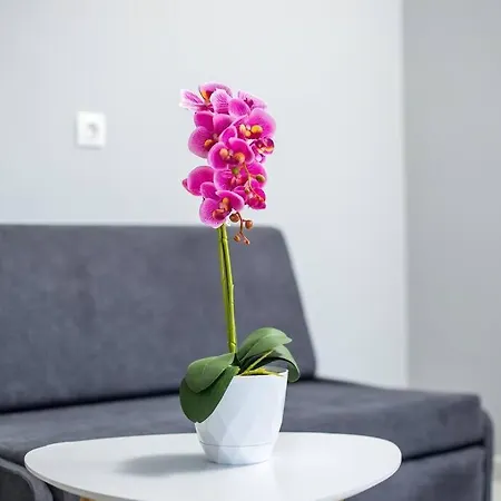 Pelagias * Rhodes City